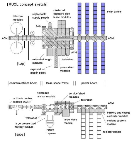 File:MUOL.jpg