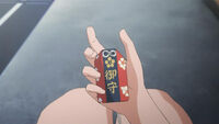 Saten Charm.jpg