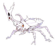 Beetle 05.jpg
