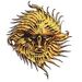 Pelor