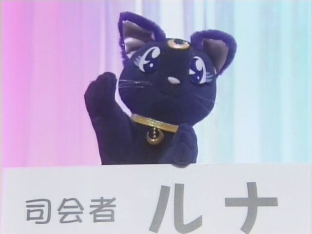File:Lunacat.jpg