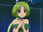 Bridget(Mew Mew).jpeg