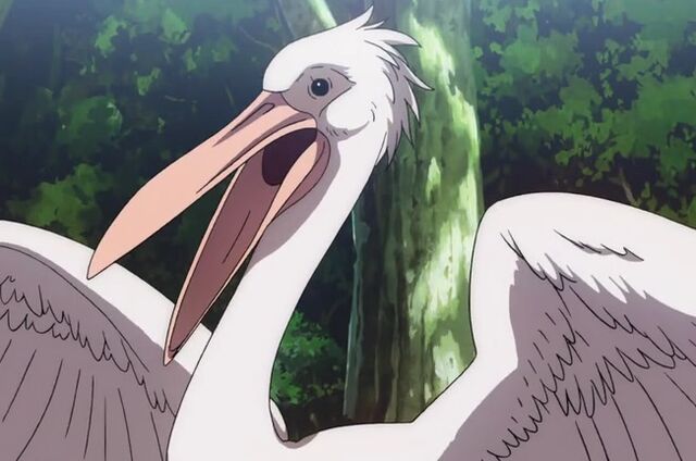 File:Pelico.jpg