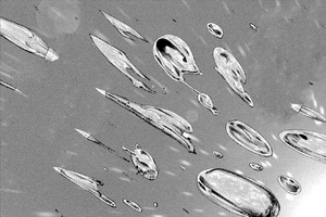 Rc cells.png