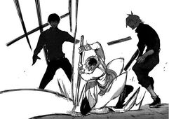 Haise sauve.jpg