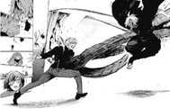 Haise vs. Seidou