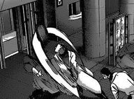 SHibashi tue.jpg