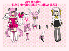 Mew frosting new ref