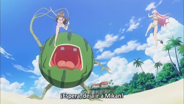 Archivo:Vlcsnap-2013-12-10-02h12m08s146.png