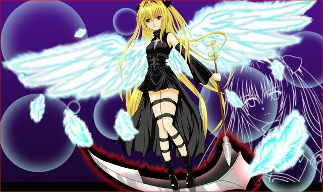 Archivo:Yami's wings.jpg