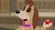 Roxy