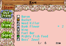 Item-screen-international