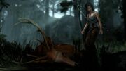Lara's hunt.jpg