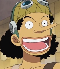 One Piece | Toonami Wiki | Fandom powered by Wikia