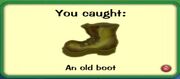 Old Boot