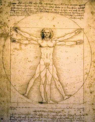 File:Vitruvian Man.jpg