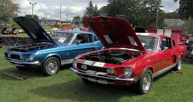 File:800px-1968 GT500 and GT350.jpg