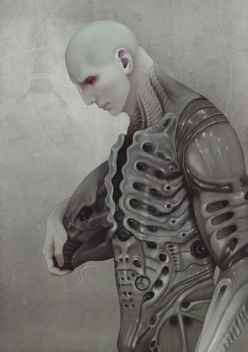 Aro