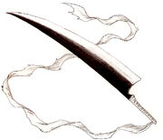 Hakku's Kitchen Knife
