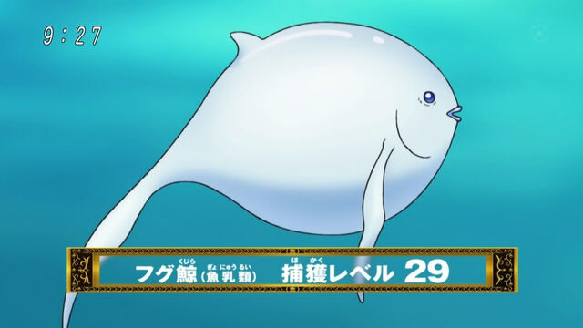 File:Puffer Whale 2.jpg