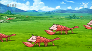 Pogster Eps 61