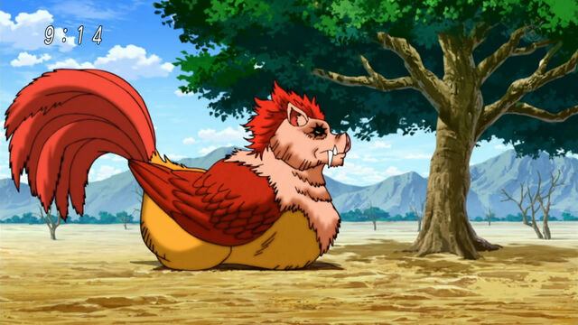 File:Niwatora sitting.jpg