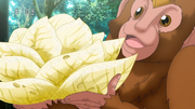 Cabbecheese Eps 37