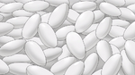 Rice upclose