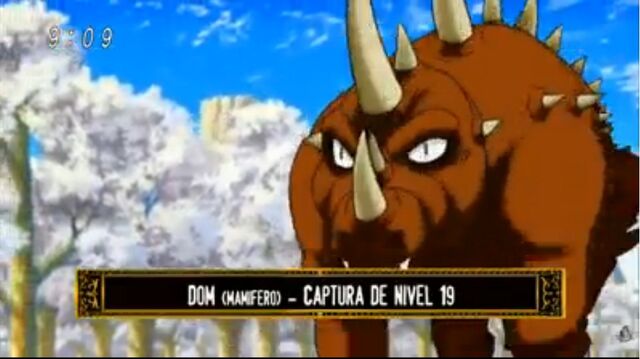 Archivo:Dom.jpg