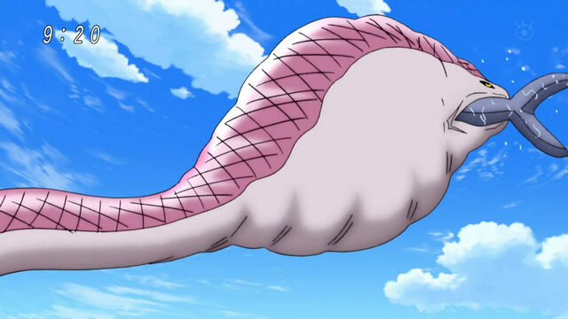 File:Quin swallow Hipposhark.jpg
