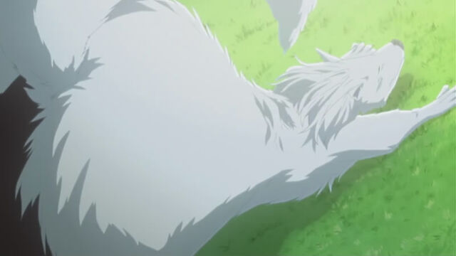 File:Toriko OVA ED 14.jpg