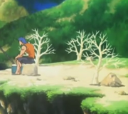 CicarTree.png