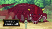 Barara Gator