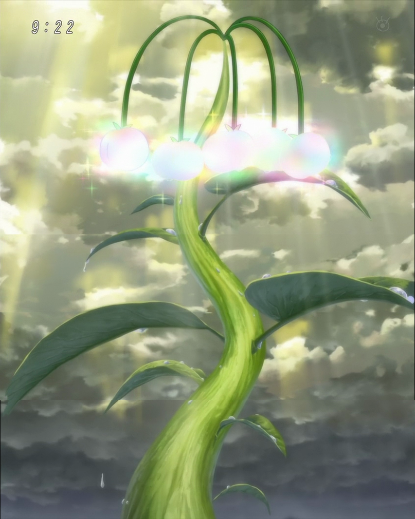 Rainbow Fruit | Toriko Wiki | FANDOM powered by Wikia