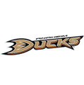 Thumbnail for version as of 04:07, October 30, 2008