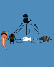 Relacion-Delfines-Red-Ladrones-Perros.jpg