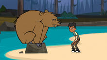 Here beary, beary!