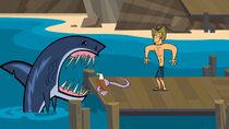 Sharksnakeeagle