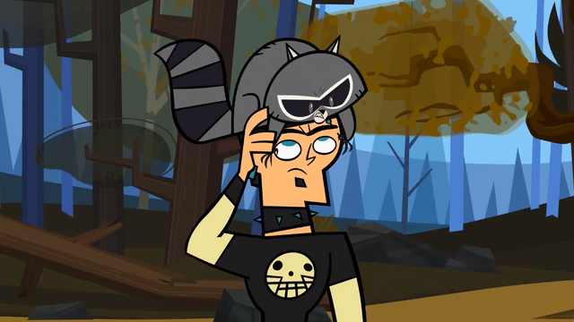 File:RacoonOnDuncansHead.png