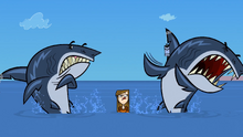 Wicked witch scares sharks