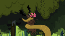 Moose faces Larry