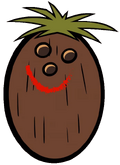 Mrcoconut