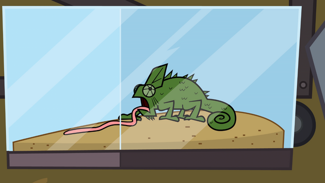 File:ChameleonTopDog.png