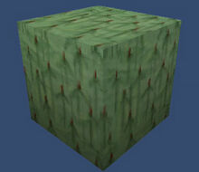 Cactus