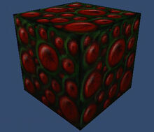 Spider Egg