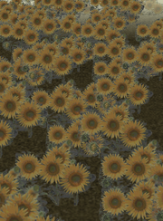 Garden of the Sun