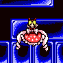 Plik:Th05namelessdemon.PNG