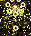 Thumbnail for version as of 14:52, October 23, 2010