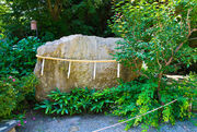 Shimenawa-Meigetsuin