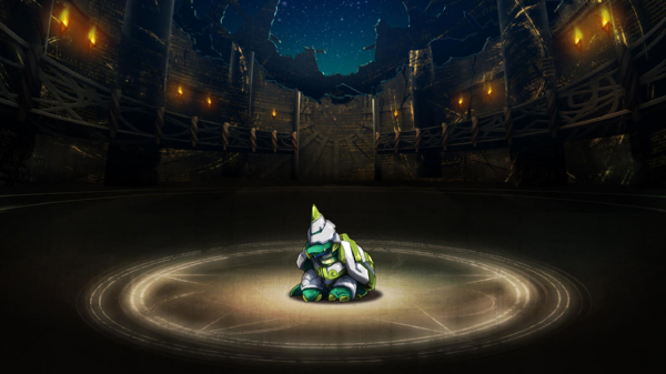 Pet047